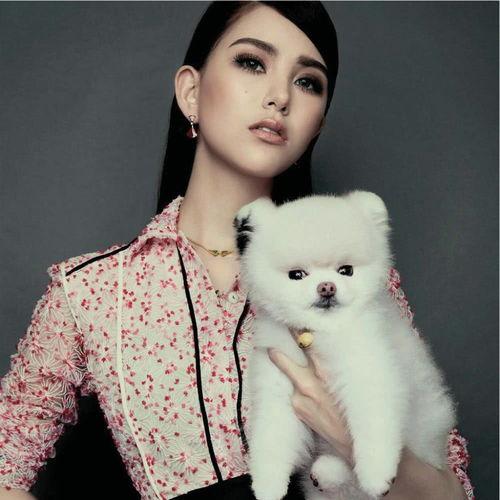 娱乐圈奶牛昆凌,娱乐圈的奶牛女神，美丽与智慧并重