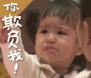 包贝尔家的饺子表情包,萌态可掬，饺子界的网红新宠